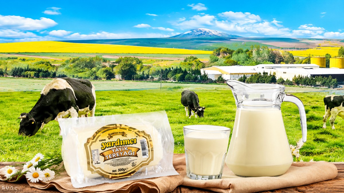 Edirne’nin peynir ustalığı kuşaktan kuşağa yaşatılıyor